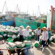 Xuất khẩu hải sản sang EU giảm do thẻ vàng
