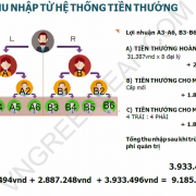 Mạng lưới bán hàng đa cấp Trung Quốc hoạt động trái phép ở Việt Nam