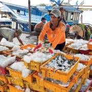 Đề nghị EC sớm gỡ bỏ ‘thẻ vàng’ cho thủy sản của Việt Nam