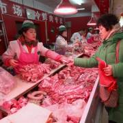 Trung Quốc: giá thịt heo tăng trở lại