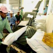 Việt Nam đứng thứ 4 tại Đông Nam Á về an ninh lương thực