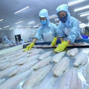 Cơ hội mở rộng thị trường xuất khẩu cá da trơn tại Mỹ