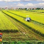 UBTV Quốc hội đồng ý miễn thuế sử dụng đất nông nghiệp trong 5 năm
