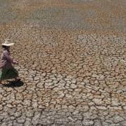 Thái Lan dành 10 tỷ USD cho kế hoạch phục hồi nông nghiệp