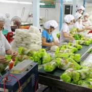Thái Lan – thị trường xuất khẩu rau quả tiềm năng của Việt Nam
