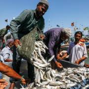 Ngư dân Pakistan lo tàu cá Trung Quốc làm cạn kiệt ngư trường