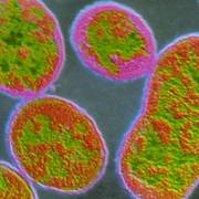 Trung Quốc: Hàng ngàn người nhiễm khuẩn vì nhà máy dược phẩm rò rỉ