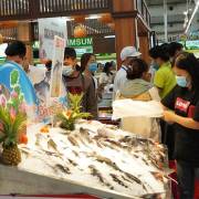 Đồng Tháp đưa cá tra ‘bơi’ ra thị trường Hà Nội