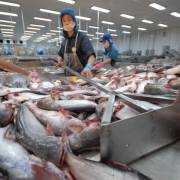 Trung Quốc lại siết thủy sản, trái cây nhập khẩu từ Việt Nam