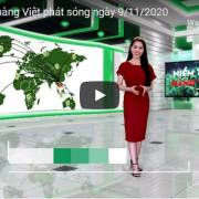Niềm tin hàng Việt phát sóng ngày 9/11/2020