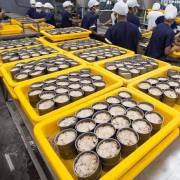 Người Mỹ tăng mua cá ngừ đóng hộp từ Việt Nam