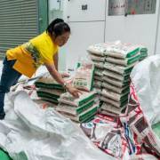 Thái Lan đặt cược vào giống gạo mới để giành lại ‘ngôi vua xuất khẩu’