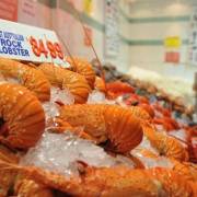 Úc ngừng xuất khẩu tôm hùm cho Trung Quốc