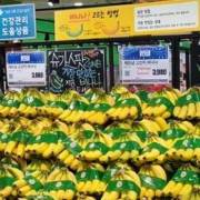 Hàng Việt vi phạm an toàn thực phẩm của Hàn Quốc giảm mạnh