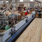 EU đưa ra yêu cầu khắt khe sản phẩm gỗ Việt Nam