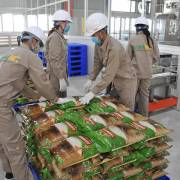 Lý do Việt Nam nhập khẩu gạo Ấn Độ