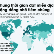Việt Nam dự kiến đạt miễn dịch cộng đồng từ giữa năm 2022
