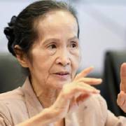Bà Phạm Chi Lan: Doanh nghiệp tư nhân ‘không thể lớn, không dám nghĩ lớn!’