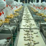 Số lô hàng thủy sản xuất khẩu bị Trung Quốc trả về ‘tăng đột biến’