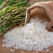 Việt Nam đang mua rất nhiều gạo cao cấp của Ấn Độ