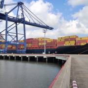 Tiếp tục chào đón tuyến dịch vụ container trực tiếp đi bờ tây Mỹ