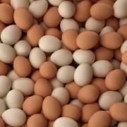 Trứng gà được tiêu thụ mạnh trong dịch Covid-19
