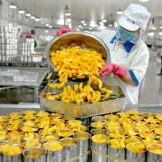 Mỹ không hạn chế thương mại đối với hàng hóa xuất khẩu của Việt Nam
