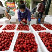 Tại sao Trung Quốc kiểm hóa 100% trái cây xuất khẩu từ Việt Nam?