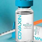 WHO phê chuẩn sử dụng khẩn cấp vắc xin Covid-19 Covaxin của Ấn Độ