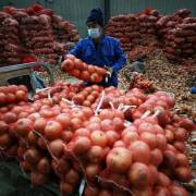 Trung Quốc cảnh báo lạm phát giá lương thực