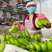 Doanh nghiệp Mỹ tiếp tục rót hàng tỷ USD vào Việt Nam