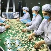 Bài học đắt giá cho các nhà xuất khẩu Việt Nam
