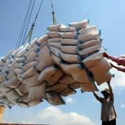 Doanh nghiệp xuất khẩu gạo vẫn thiếu đơn hàng lớn