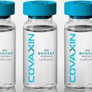 WHO ngưng cung cấp vắc xin Covaxin của Ấn Độ