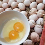 Giá trứng gia cầm tăng 2.000 – 5.000 đồng/chục