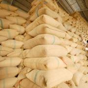 Giá gạo xuất khẩu tăng lên mức cao nhất kể từ đầu năm