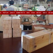 Mỹ điều tra phòng vệ thương mại với tủ gỗ nhập khẩu từ Việt Nam