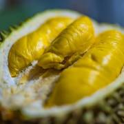 Thái Lan giới thiệu giống sầu riêng ‘không mùi’