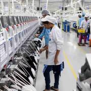 Apple bắt đầu sản xuất iPhone 14 tại Ấn Độ