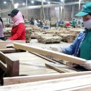 Mỹ kết luận sơ bộ vụ điều tra chống bán phá giá với gỗ dán Việt Nam