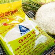 Xuất khẩu gạo ST sang Trung Quốc tăng mạnh