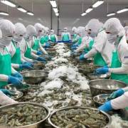 Mỹ đang là thị trường xuất khẩu thủy sản lớn nhất Việt Nam