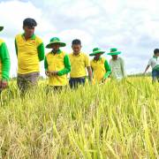 Đồng hành cùng doanh nông trẻ tạo nên những cánh đồng xanh bền vững