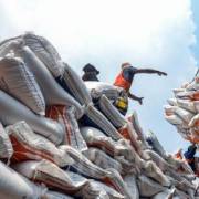 Doanh nghiệp Việt ‘lao đao’ khi Ấn Độ cấm xuất khẩu cám gạo