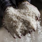 Thị trường 24/7: Giá gạo xuất khẩu tăng lên mức 663 USD/tấn; Hơn 2,87 tỷ USD vốn ngoại rót vào BĐS