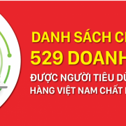 Danh sách chính thức 529 Doanh nghiệp Hàng Việt Nam Chất lượng cao 2024