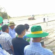 Bình Điền đồng hành cùng nông dân thực hiện đề án một triệu ha lúa chất lượng cao