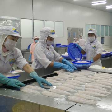 Vụ Formosa, doanh nghiệp thủy sản không được hỗ trợ