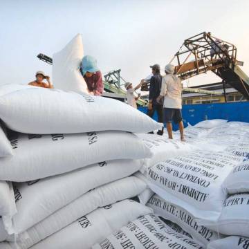 Xuất khẩu gạo tăng mạnh trong tháng đầu năm