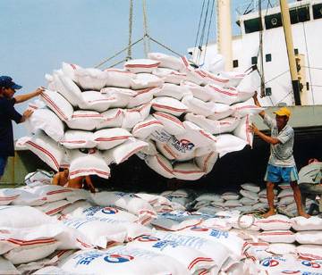 Năm 2016: Xuất khẩu gạo Việt Nam sẽ thuận lợi